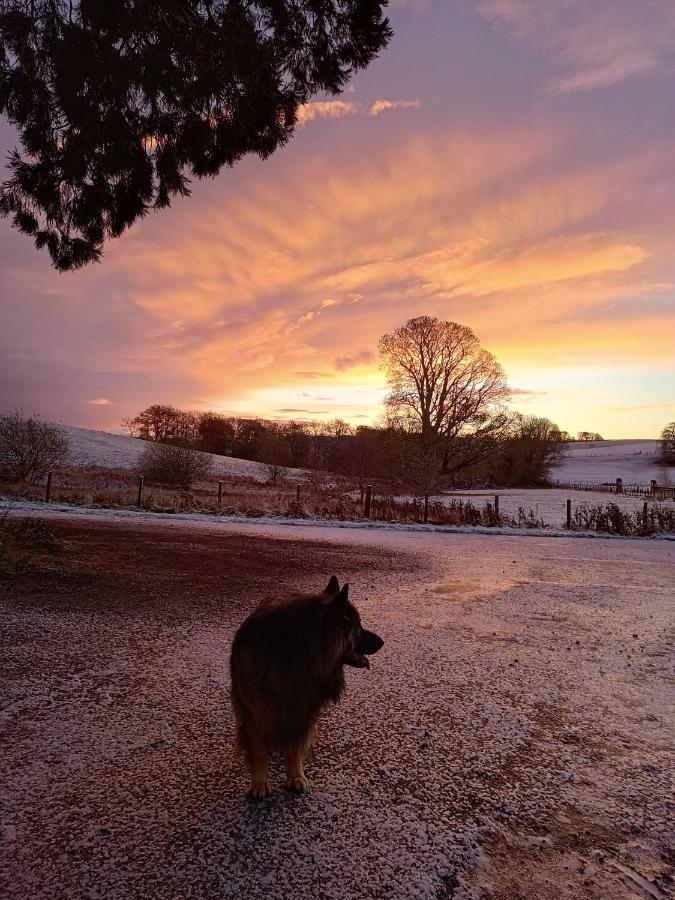 The West Wing At Eriviat Hall Hot Tub Henllan  Bagian luar foto