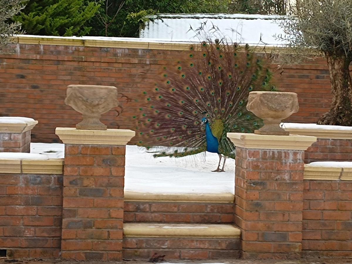 The West Wing At Eriviat Hall Hot Tub Henllan  Bagian luar foto