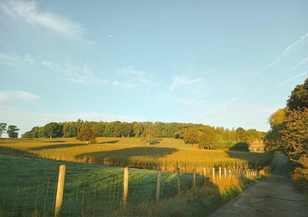 The West Wing At Eriviat Hall Hot Tub Henllan  Bagian luar foto