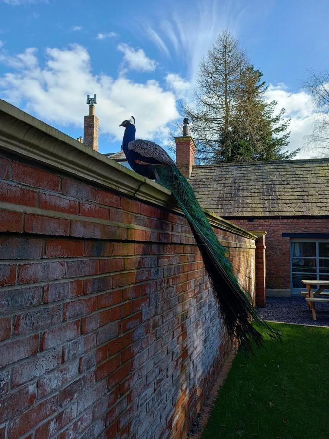 The West Wing At Eriviat Hall Hot Tub Henllan  Bagian luar foto
